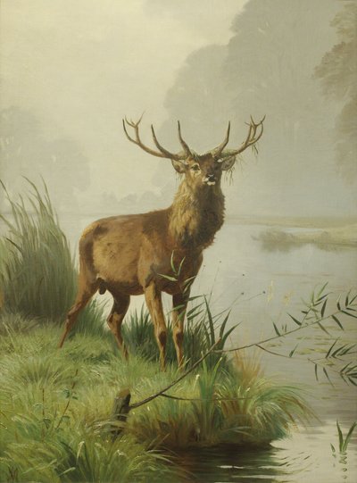 Red Deer by Adolf Mackeprang